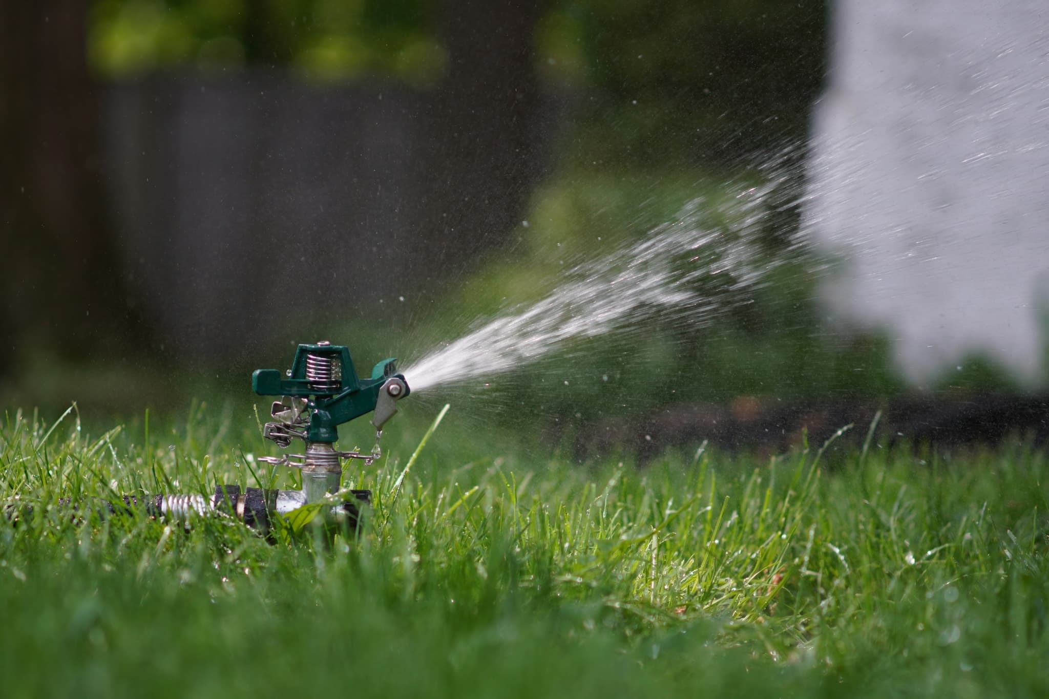 New Sod Watering Guide: Essential Tips for a Lush Lawn