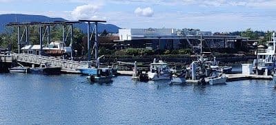A picture of Anacortes