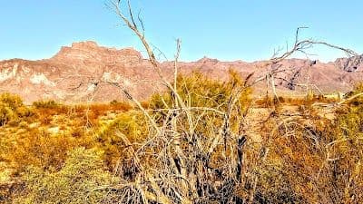 A picture of Apache Junction