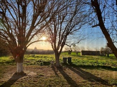 A picture of Atwater