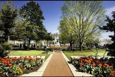 A picture of Bentonville