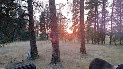 A picture of Cheney