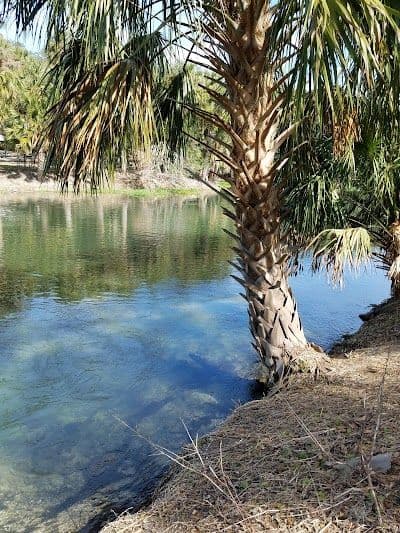 A picture of DeBary