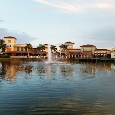 A picture of Estero