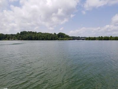 A picture of Gainesville