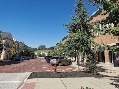 A picture of Hudson