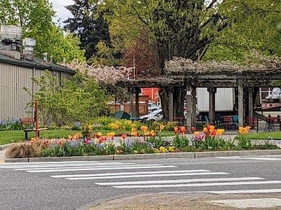 A picture of Issaquah