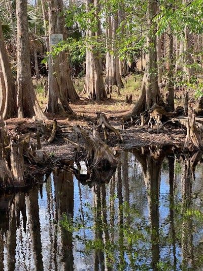 A picture of Lake Wales
