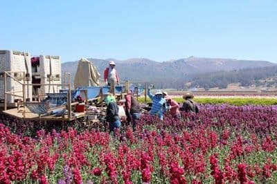 A picture of Lompoc