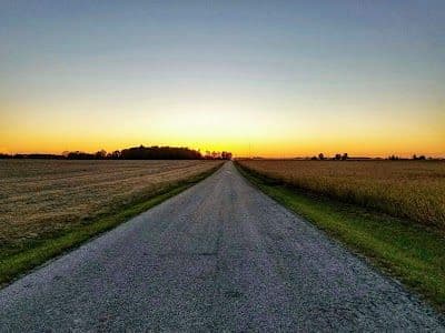 A picture of Marion