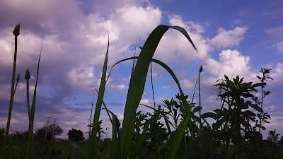 A picture of Owasso