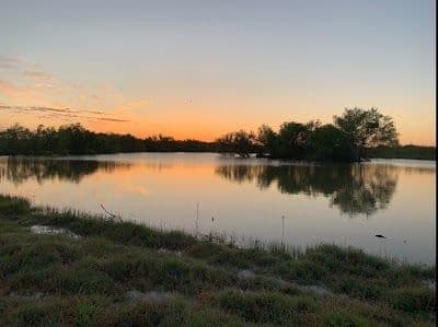 A picture of Pleasanton