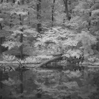 A picture of Rocky River