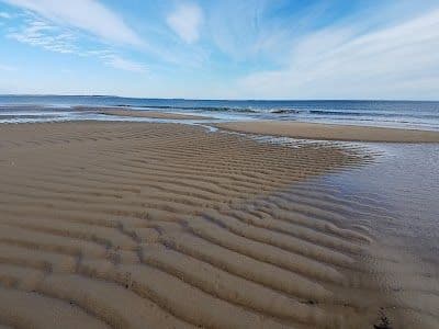 A picture of Saco