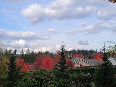 A picture of Sammamish