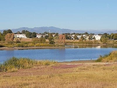 A picture of Thornton