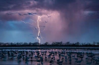 A picture of Wood River