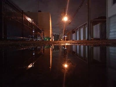A picture of Wyandotte