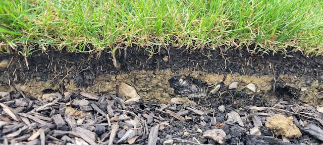 Guide to Choosing the Best Soil for Your Sod Grass