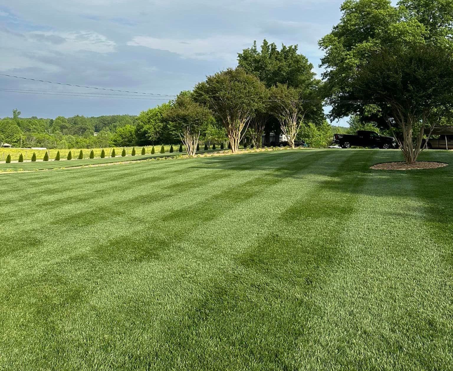 Fresh cut grass