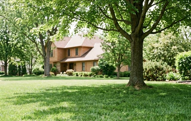 The Best Sods for Shaded Lawns