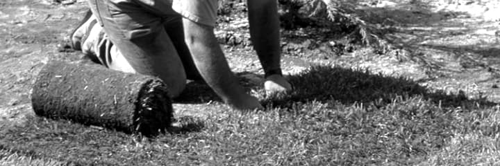 Man installing sod
