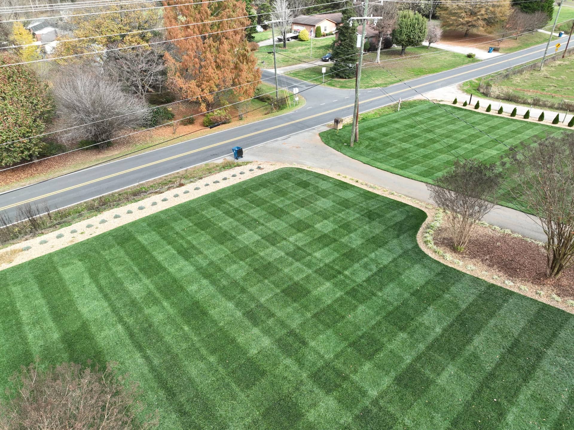 Beautiful TTTF Lawn