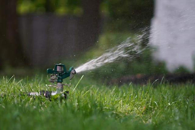The Homeowner’s Guide to Watering New Sod Grass