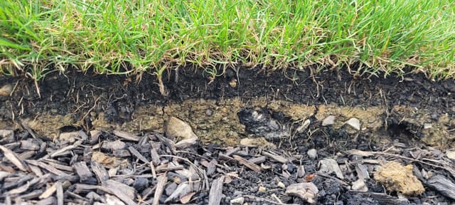 Guide to Choosing the Best Soil for Your Sod Grass