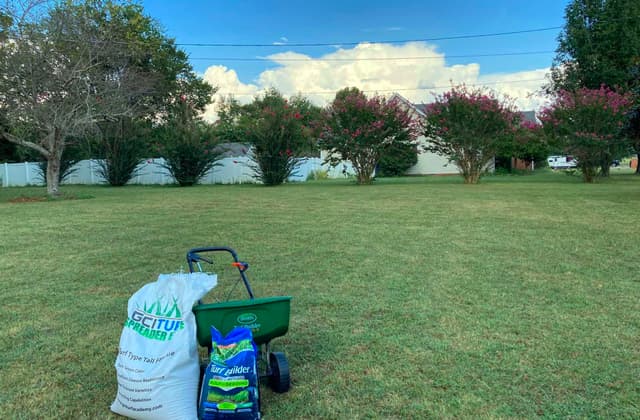 Overseeding Bermudagrass with Ryegrass