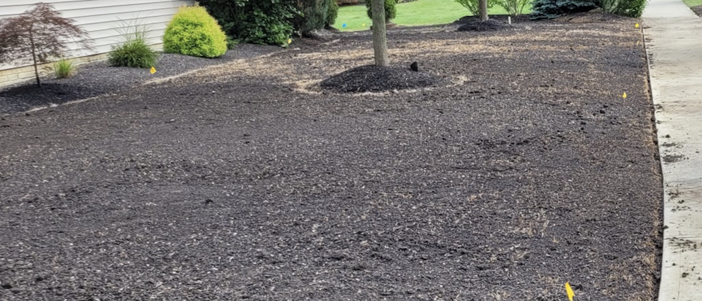 Freshly laid topsoil and mulch