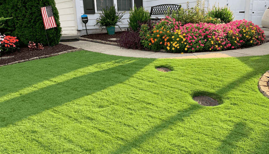 Bermuda Grass Lawn