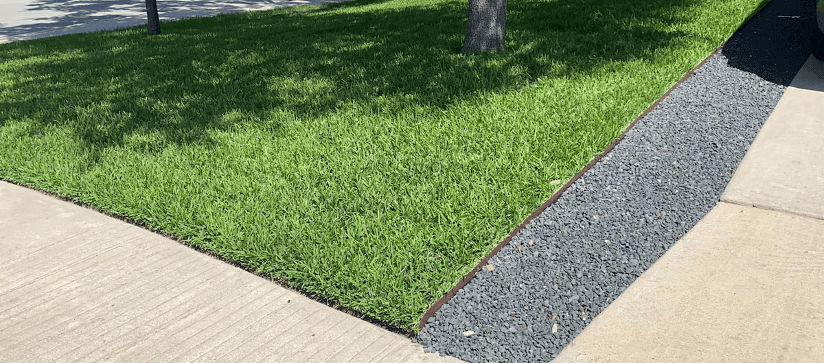 Centipede grass partly covered by a tree