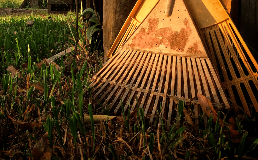 Garden rake